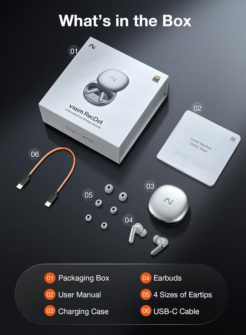 Viaim RecDot Wireless AI Conference Earbuds with Live Transcription | Silver